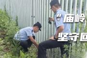 暴雨烈日喂蚊子，山頂找信號(hào)報(bào)平安！這群藏藍(lán)身影在深山護(hù)航鋼鐵動(dòng)脈