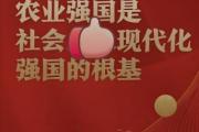 農(nóng)業(yè)強國建設步履鏗鏘