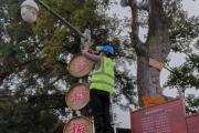 踔厲奮發(fā)新征程丨信息化點亮美好鄉(xiāng)村
