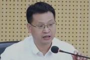 廣西百色農林投資發(fā)展集團有限公司黨委書記、董事長唐星善接受紀律審查和監(jiān)察調查