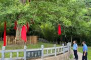 從刻字纏紅布到全民守護(hù)：看黑科技如何給6477棵古樹辦“電子身份證”