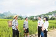 年中看進(jìn)展丨靶向施策促振興