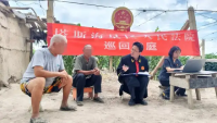 ?巡回審判進(jìn)田地 葡萄架下好“楓”景