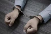 重大職務(wù)犯罪嫌疑人梁小菲被遣返回國