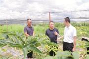 正風(fēng)反腐在身邊·記者百縣行丨 “集體的錢大家說了算”