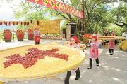 深度關(guān)注丨共同奔向中國(guó)式現(xiàn)代化的美好未來(lái)